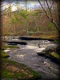 Stepping stone falls trail map. Stepstone Falls Trails Walks In Rhode Island