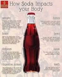 What Soda Does To Your Body Plexus Products Nutrition Health