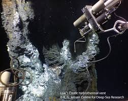 The loki part refers to a norwegian god renowned for trickery. Vents Seeps Vent Seep Fauna In Norwegian Waters