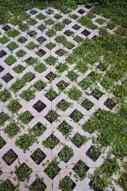 Grass Paver With Dichondra Grass Pavers Garden Walkway Permeable Pavers