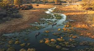 Image result for Delta 309