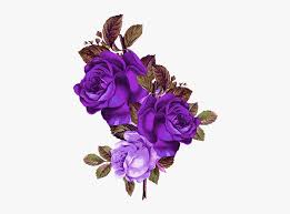 · 100% editable and easy to modify. Purple Rose Png Transparent Background Purple Roses Png Png Download Kindpng