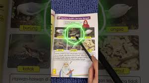 Pernyataan yang sesuai dengan fungsi bahan tersebut adalah. Sains Tahun 2 Unit 4 Haiwan Youtube