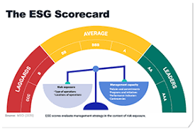 Thu, aug 12, 2021, 1:55pm edt Visualizing Investment Data Msci