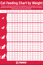 We did not find results for: Best Cat Feeding Time And Schedule Cat Feeding Cat Feeding Schedule Cat Feeding Guide