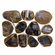 Wholesale Cabochon Stones Gem Center Usa Wholesale In 2020 Semi Precious Gemstones Jasper Cabochons Cabochon