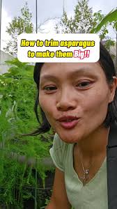 How to Trim Hanging Plants