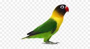Scopri ricette, idee per la casa, consigli di stile e altre idee da provare. Gambar Png Burung Love Bird Green Mask Lovebirds Free Transparent Png Clipart Images Download