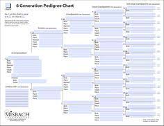 Image Result For Fillable Family Tree Template Free Family
