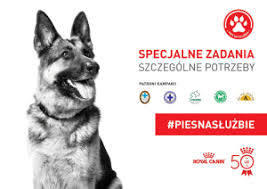 Psy służbowe w Polsce - wyniki ogólnopolskiego raportu
