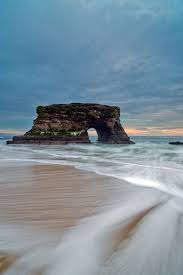 Natural Bridges State Park Santa Cruz California Natural Bridges State Beach Places To Go Wonders Of The World