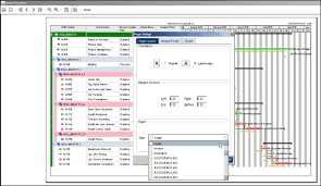 print or create a pdf schedule in primavera p6 eppm