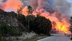 Corse: Incendie Ravageur à Venaco! Pompiers en Alerte Maximale!