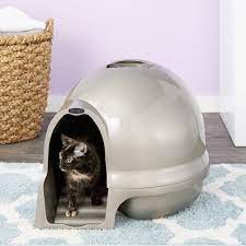 We will also suggest some other ideas and diy methods prevent this behavior. 5 Best Dog Proof Litter Boxes How To Keep Dogs Away From Cat Poop