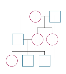 3 Generation Family Tree Template Word Lamasa