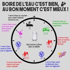 Or, chaque jour, nous perdons environs deux litres d'eau via la transpiration, l'urine ou la respiration. Quand Et Combien Dois Je Boire Le Blog De Nutri Coach