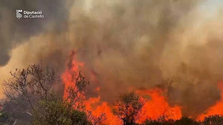 Las llamas avanzan por zonas de dif&iacute;cil acceso forestal en el interior de Castell&oacute;n., generada por IA