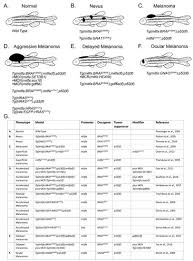 Отказаться от подписки на канал miếng dán trắng răng crest supreme professional? Cells Free Full Text From Tank To Treatment Modeling Melanoma In Zebrafish Html