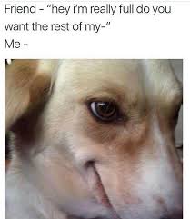 Memes 2020 Clean Funny Dog Memes Funny Animal Memes Funny Relatable Memes