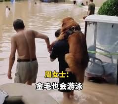 Jun 06, 2021 · (新增:影片) 高雄市區今早受到滯留鋒面影響，大雷雨狂炸；上午8時許，前鎮區中山四路地下道因雨水來不及宣洩，瞬間暴漲，造成3輛自小客車來不及離開滅頂，所幸駕駛人提早下車逃生，在警消搶救下無大礙；另金福地下道也淹水，水深達2公尺，一輛聯結車受困，消防人員獲報救出爬上車頂的駕駛。 Cvvymovkkajolm