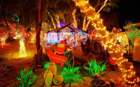 Christmas cactus soil benefits from the addition of fertilizer. This Nevada Garden Celebrates The Holidays By Wrapping Cacti In Christmas Lights Travel Leisure