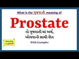 The pancreas is an organ that releases enzymes involved with digestion, and hormones to regular blood sugar levels. Prostate Meaning In Gujarati Prostate àª¨ àª…àª° àª¥ àª¶ àª› Prostate In Gujarati Dictionary Youtube