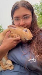 My name is Ravon, I am 45yrs.old, born and raised in Milwaukee Wisconsin. I  am looking to meet a fun, caring, understanding, spiritual and phenomenal  Lady that I can build a real