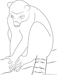 Free, printable coloring pages for adults that are not only fun but extremely relaxing. Lemur Look At Coloring Page For Kids Free Lemur Printable Coloring Pages Online For Kids Coloringpages101 Com Coloring Pages For Kids