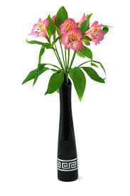 Vedi la nostra fiori png selezione dei migliori articoli speciali o personalizzati, fatti a mano dai nostri attività creative per bambini negozi. Vaso Fiori