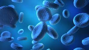 Check spelling or type a new query. Animation Cell Blue Human Cell Stock Footage Video 100 Royalty Free 15986068 Shutterstock