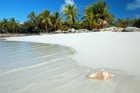 flug punta cana fluge billigfluge nach punta cana gunstig online buchen fluege de