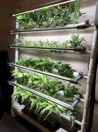 Maybe you would like to learn more about one of these? 22 Awesome Indoor Hydroponic Wall Garden Design Ideas Hydroponic Growing Hydroponic Farming Hydroponic Gardening