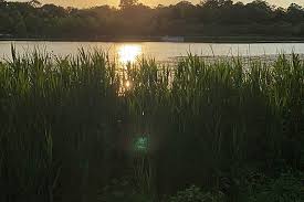 On this page you can find comprehensive information about establishment and park lake artemesia butterfly garden at berwyn click to view big map. Lake Artemesia Trail Maryland Trails Traillink