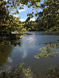 We did not find results for: Austin Lake Rv Park Cabins Posts Facebook