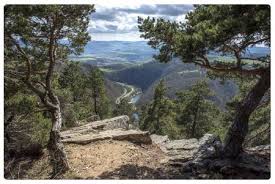 Per cogliere lo spirito della zona, visita i suoi negozi o fai due passi verso il lungofiume. Loira Il Fiume Di Francia