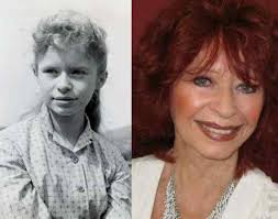 Bud Abbott & Lou Costello Archives