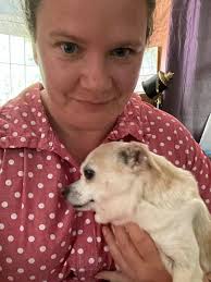 Lost chihuahua in Indian River Park, Chesapeake VA