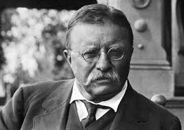 Theodore Roosevelt & Woodrow Wilson: Ambivalensi Politik Luar Negeri