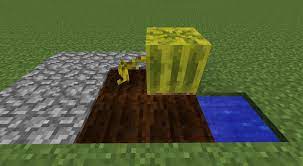 This is a tutorial on how to farm pumpkins and melons, both manually and automatically. Melon And Pumpkin Growth Minecraft Tutorial