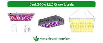 Maybe you would like to learn more about one of these? 7 Best 300w Led Grow Lights In 2021 Reviews American Promise
