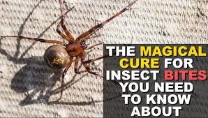 Help protect your kitty from painful skin conditions and shop cat skin and coat care on chewy's online pet store today. Four Year Old Rushed To Hospital After Toxic Caterpillar Sting Coventrylive
