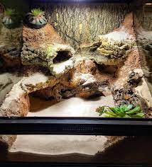 Diy This Terrarium With Zoo Med Excavator Clay Molded Around Pieces Of Mopani Wood And Cork Rounds Dig Divots Gecko Terrarium Reptile Terrarium Gecko Vivarium