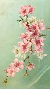 Sakura Tatuagens Florais Vintage Tatuagens De Flor De Cerejeira Imagens Vintage