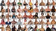 My Top 50 Greatest WWE Superstars by TimCon03 on DeviantArt