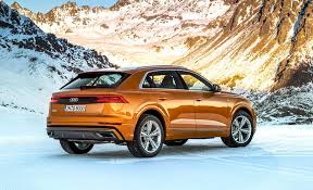 Image result for Dragon Orange 2021 SQ8