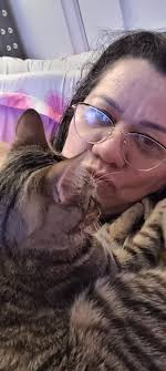 Lost cat in St. Catharines, Ontario area