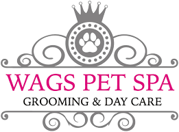 Find pet groomers near you. Dog Groomer Willenhall Wags Pet Spa Dog Grooming Salon Willenhall Wolverhampton