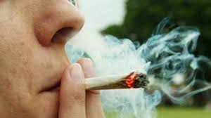 Efectele Incredibile Ale Consumului De Marijuana Asupra Organismului TÄƒu