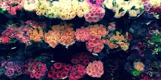 Whole foods always wins the prize for the best price on roses plus they are usually good quality too. Need Roses Ms Cheap Knows The Best Deals In Town