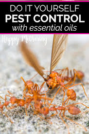 Do not attempt to use any of these features while what are the chain control levels? we can answer that! Do It Yourself Pest Control With Essential Oils Happy Mothering